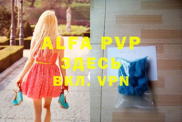 индика Алексин