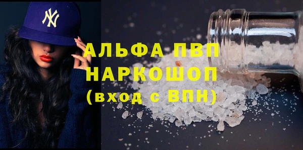 индика Алексин